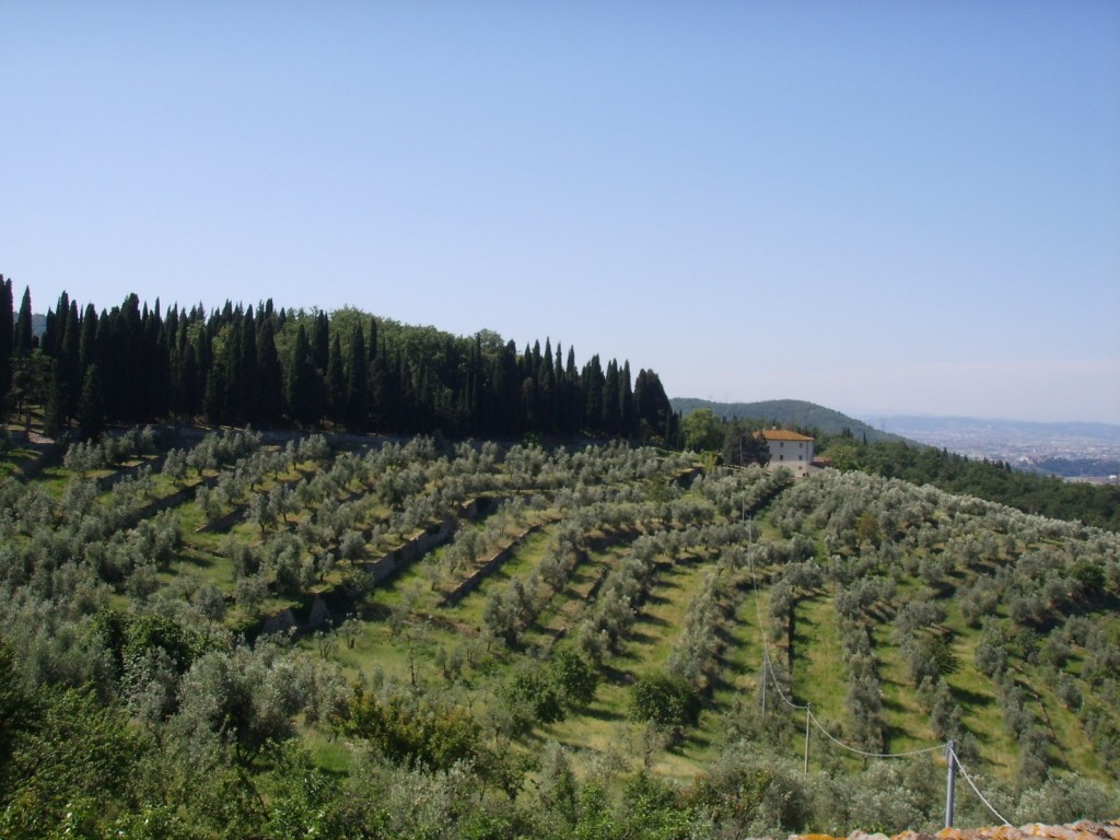 oliveto-toscana